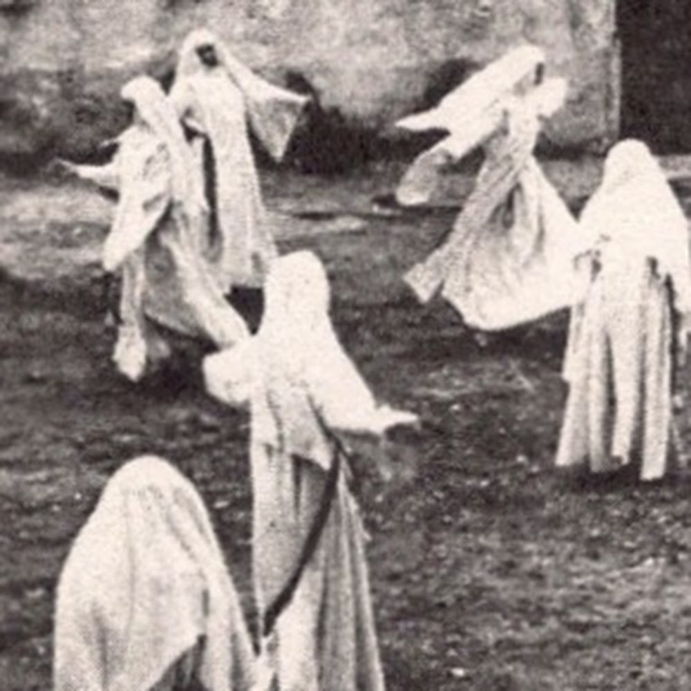 Meet your Posher, Samuel